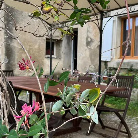 Chateau St-auriol - Le Caviste