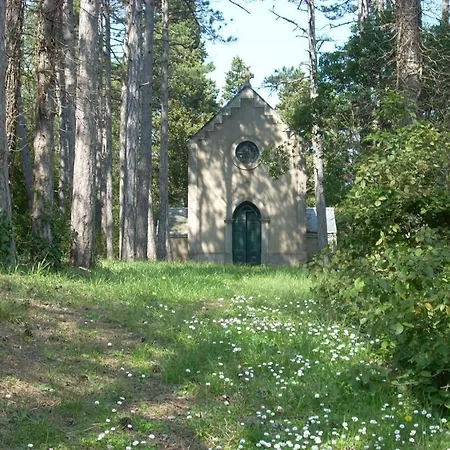 Tatil Evi Chateau St-auriol - Le Caviste